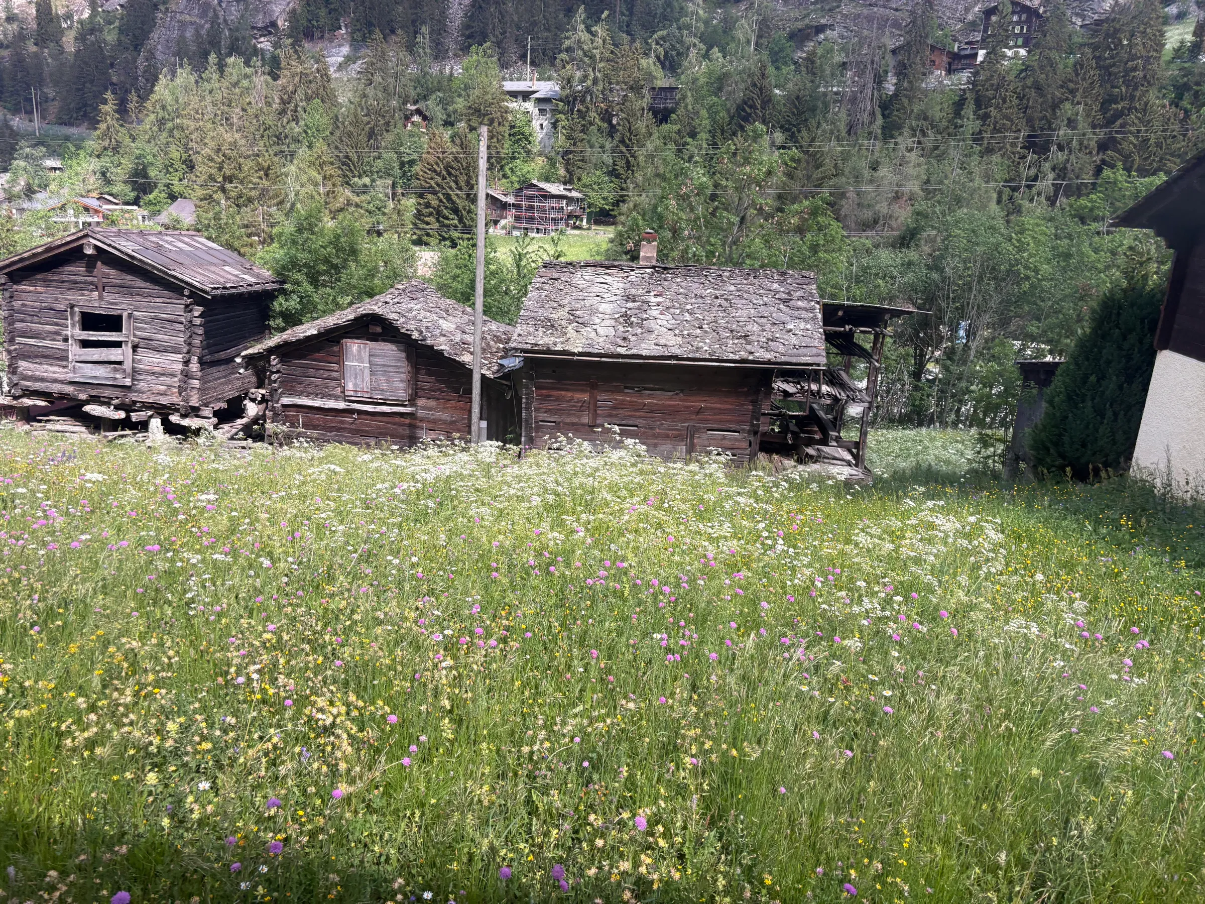 St. Niklaus — Untitled — 1