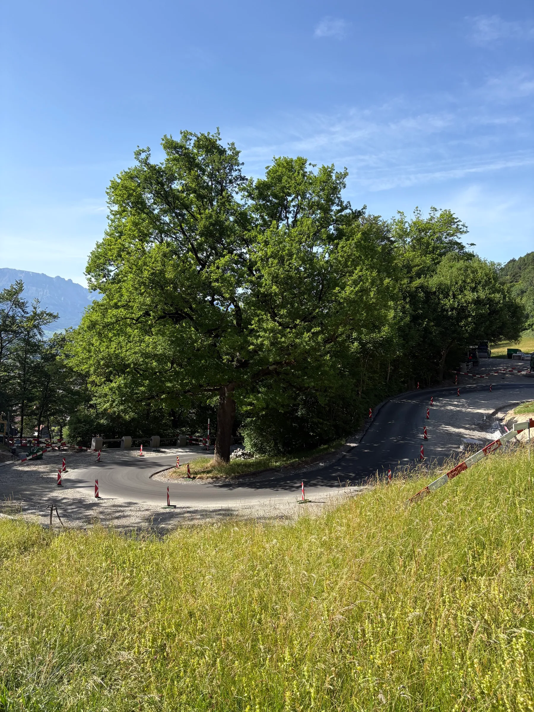 Vaduz — Untitled — 2