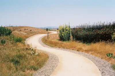 Mountain View — Untitled — 2