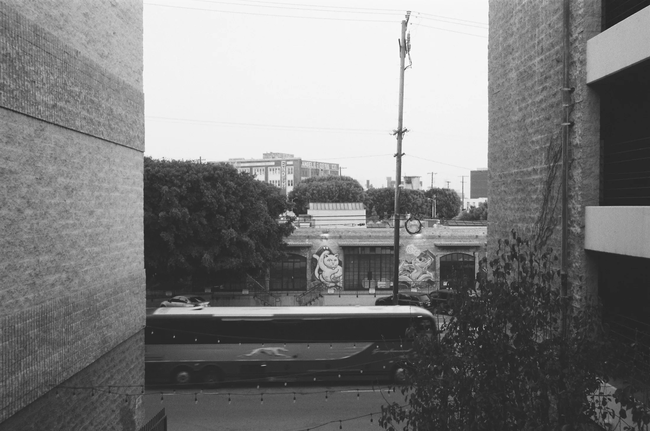 Arts District — Untitled — 5