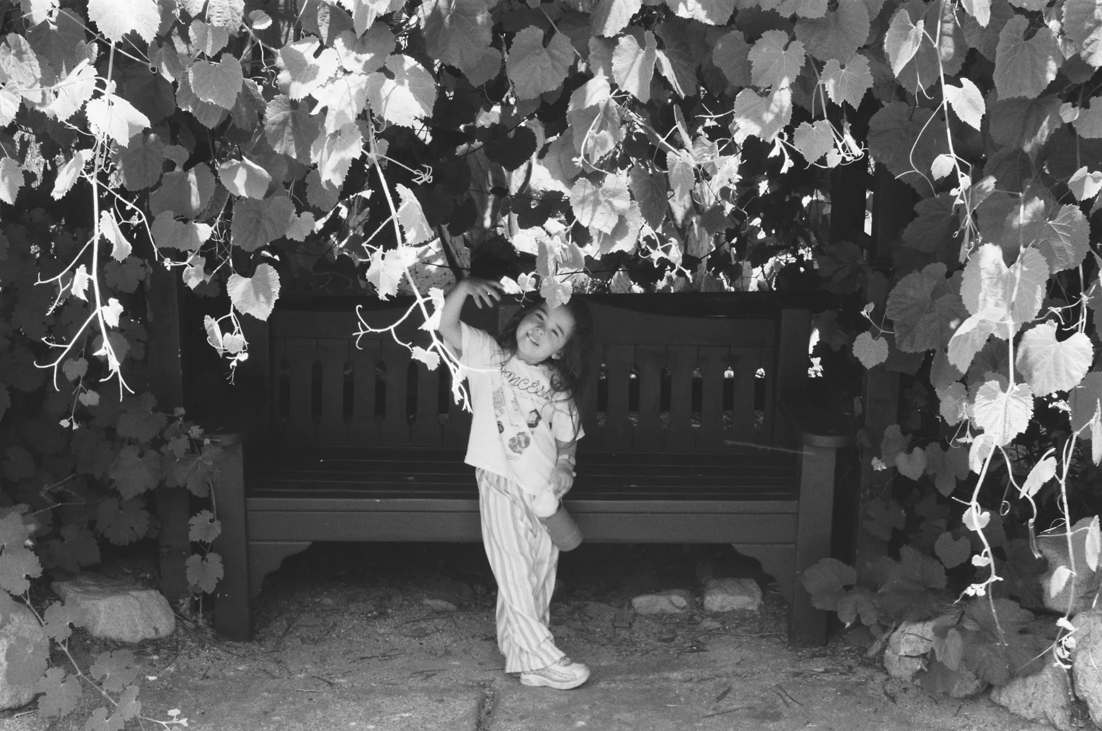 La Cañada Flintridge — Untitled — 4