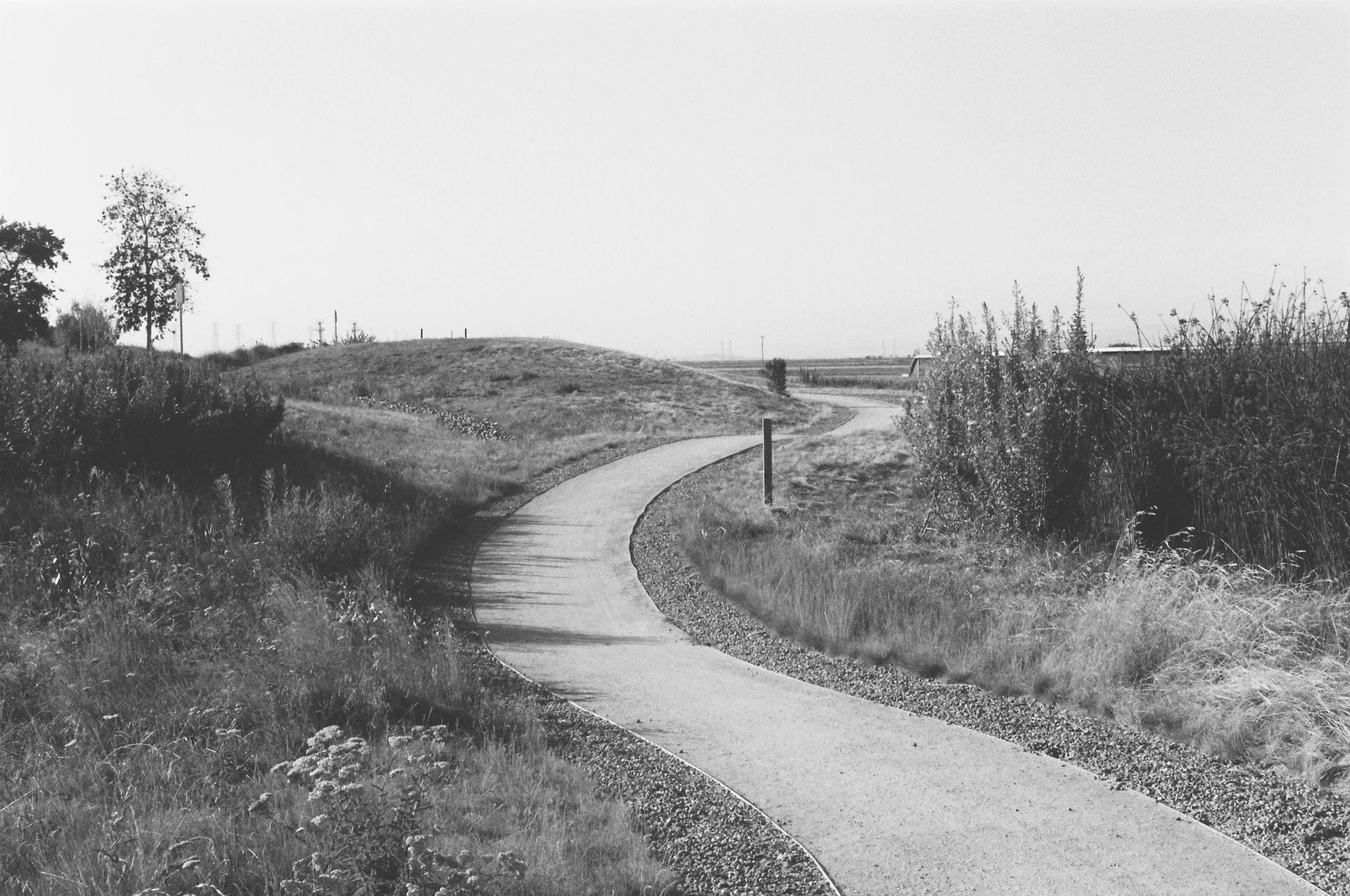 Mountain View — Untitled — 4