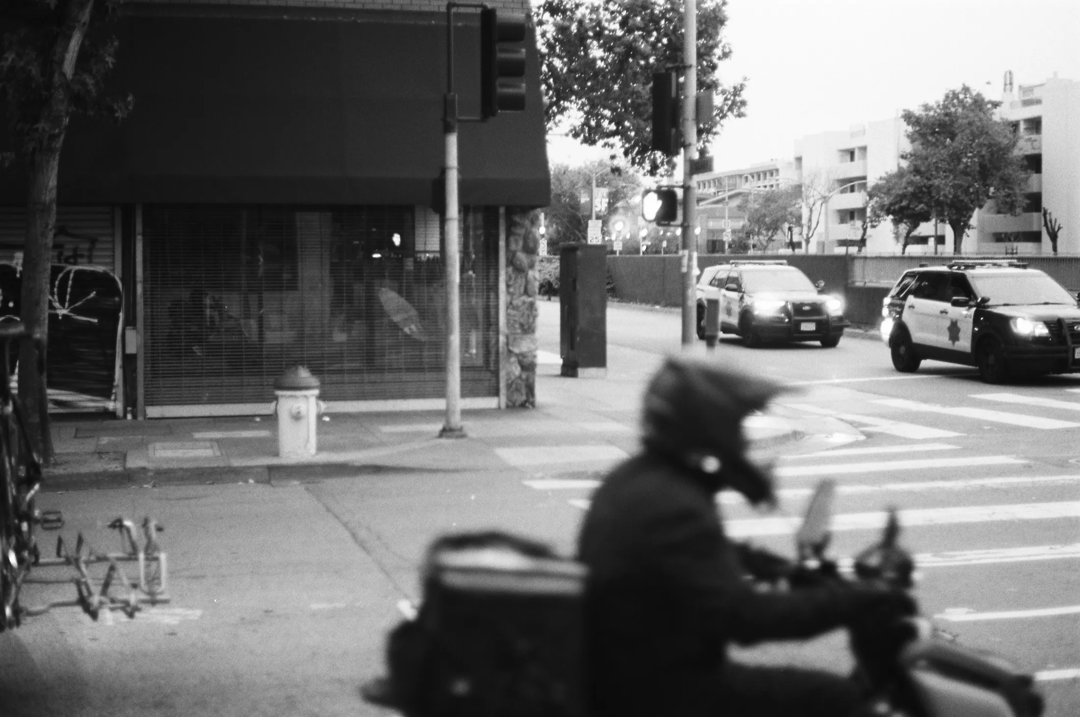 Palo Alto — Untitled — 1