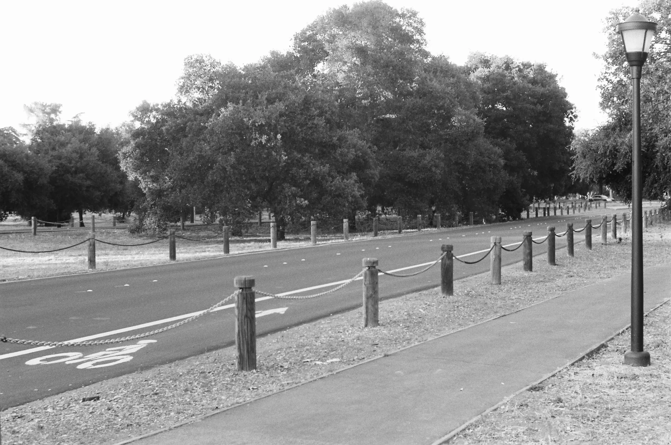 Palo Alto — Untitled — 2
