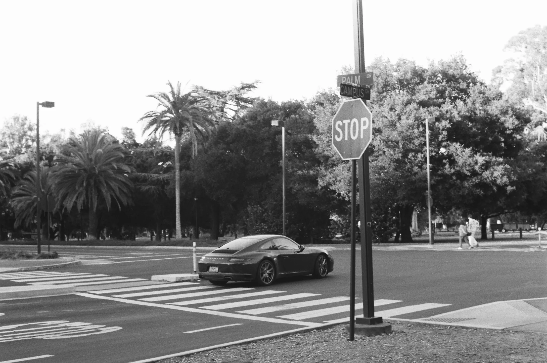 Palo Alto — Untitled — 3