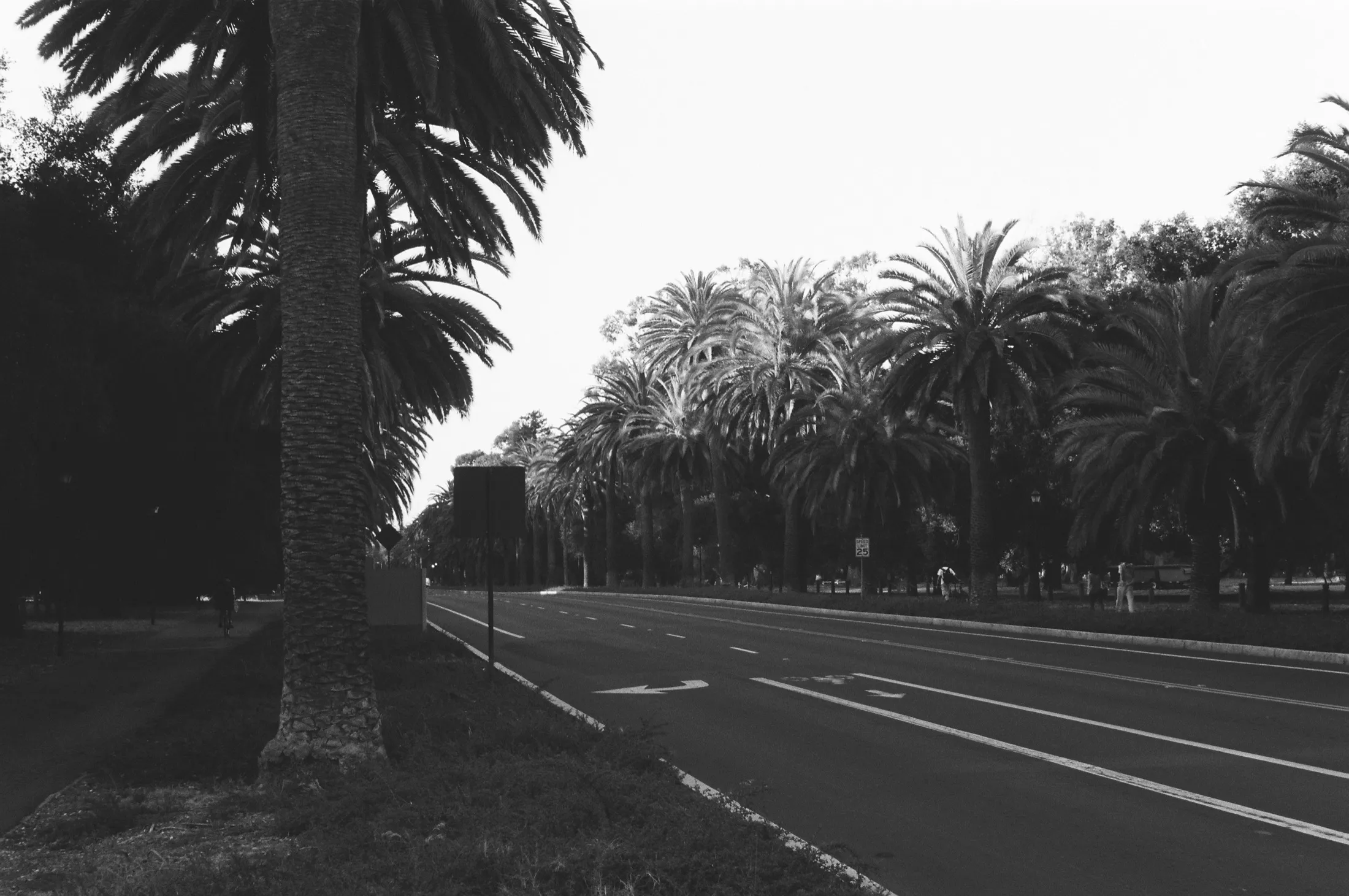 Palo Alto — Untitled — 4