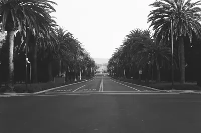 Palo Alto — Untitled — 5