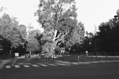 Palo Alto — Untitled — 6