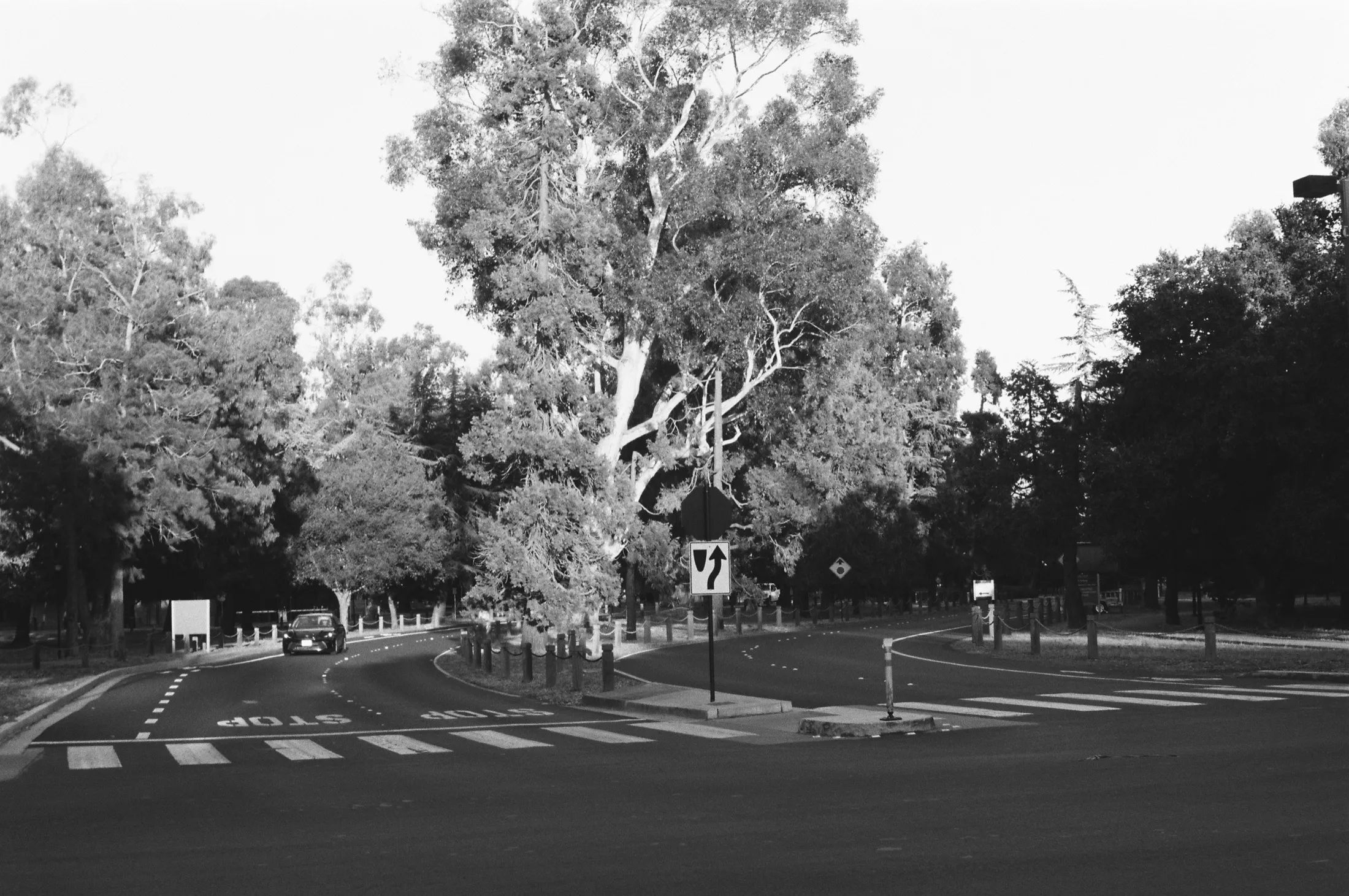 Palo Alto — Untitled — 6